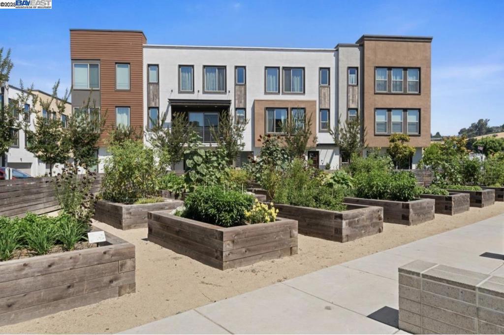 Experience Elevated Living in this beautiful contemporary design energy-efficient 2020-built townhome by Meritage Homes. Ideally situated in the Mission Crossing community boasting 4-bedrooms, 3.5-baths, spanning over 1,900 sq.ft. of open concept living. The entry-level welcomes you with a private en-suite bedroom/full bathroom retreat for guests or in-laws. The main floor showcases soaring 10-ft ceilings, expansive dual-pane windows & an abundance of natural light that feels airy & elegant. The gourmet kitchen is a chef’s dream, featuring custom cabinetry, granite countertops, designer backsplash, premium stainless steel appliances, a generous island & a spacious pantry. The adjoining living area flows effortlessly to a large balcony—the perfect setting for morning coffee or evening wine. The upper level offers 3 well-appointed bedrooms, including a luxurious primary suite. Additional highlights include dual-zone climate control, tankless water heater, upstairs laundry & an immaculate 2-car side-by-side attached garage. Enjoy thoughtful curated community amenities such as a playground, BBQ area & a gardening area. Easy access to Hayward’s vibrant dining, shopping, parks & cultural attractions. Walking distance to Cal State East Bay University, BART & HWYS: 880 / 238 / 92.