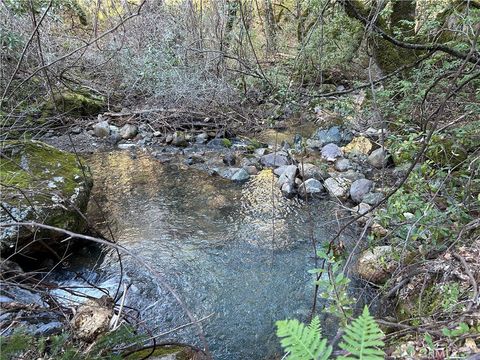 14903 Western Mine Road Middletown CA 95461