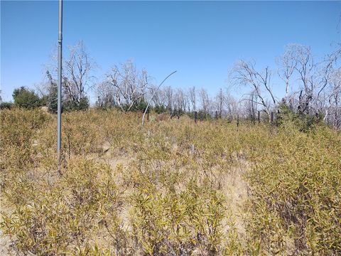 Photo of 363 Raccoon Road, Berry Creek, CA 95916 (MLS # OR26086906)