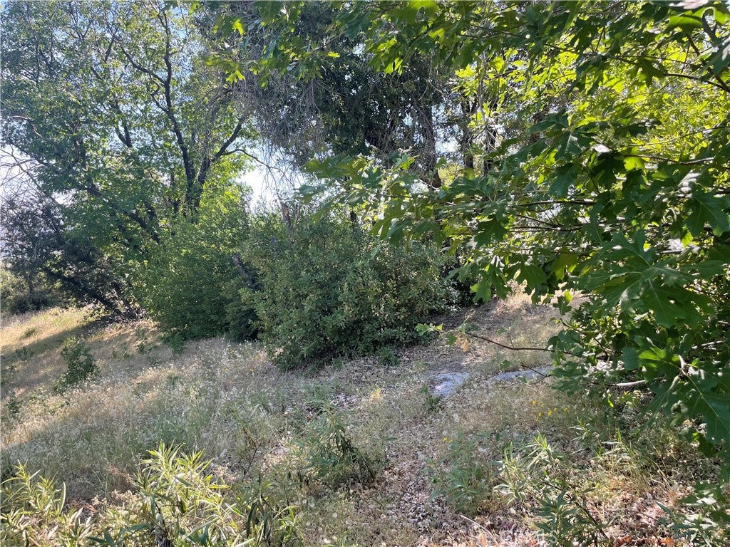 363 Raccoon Road