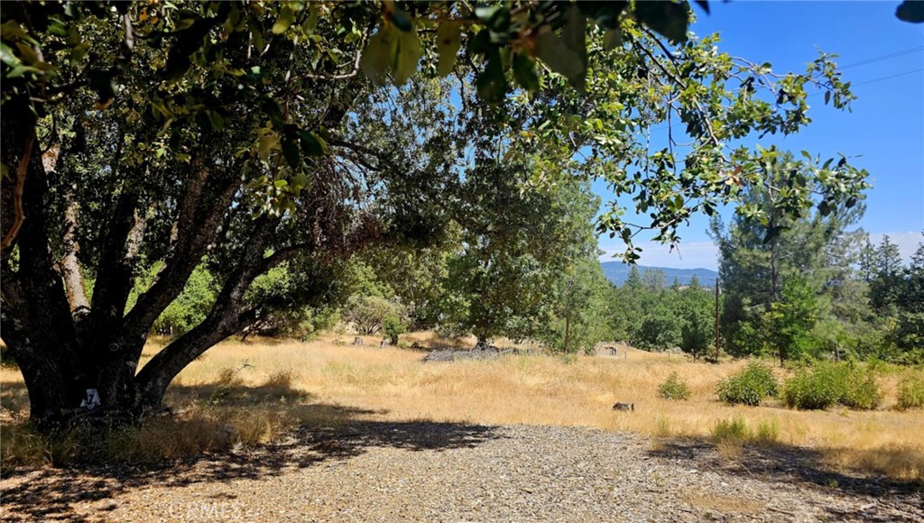 Located in Lushmeadow Estates, EXTENSIVE IMPROVEMENTS make this lot perfect for building your new home. Completed well, Septic permit in place for 3 bedroom home, Site plan, Permitted power pole with 200-amp panel installed for whatever you would like to build, its blue tagged and inspected, requires only connection from PG&E power. Many more improvements, call for your tour today! Lushmeadows Estates is located just 35 miles from the Main Arch Rock entrance to Yosemite National Park. Just minutes to the Merced River and countless Recreational areas. Lushmeadows Estates has two beautiful lakes that are both available for the enjoyment of members and their guests. Located next to one of the Lakes is the Clubhouse. The clubhouse is available for Members to rent at a nominal fee. Both lakes allow fishing and no license is required. Lushmeadows offers hiking trails, picnic areas and much more. Small YEARLY fee.
Time to head for the hills? You need to check this one out.