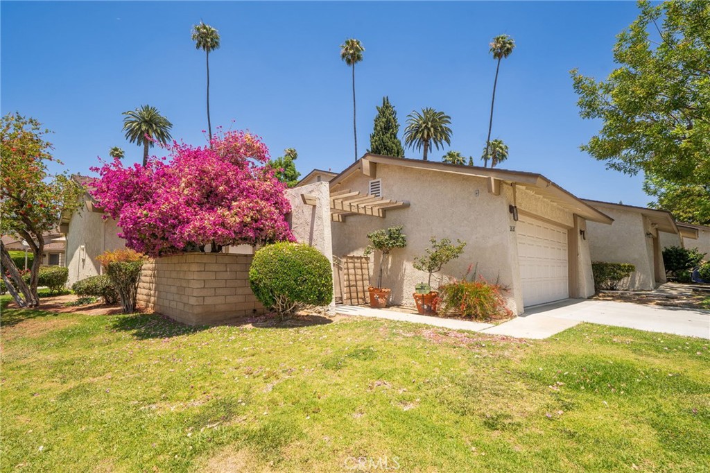 2627 Mangrove Way