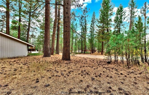Photo of 1662 Maiden Hair Ct, South Lake Tahoe, CA 96150 (MLS # SW26071243)