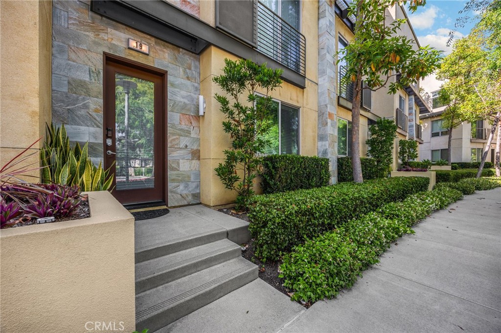 19 Delancy