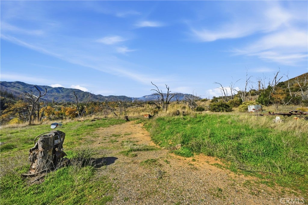 19576 State Highway 175