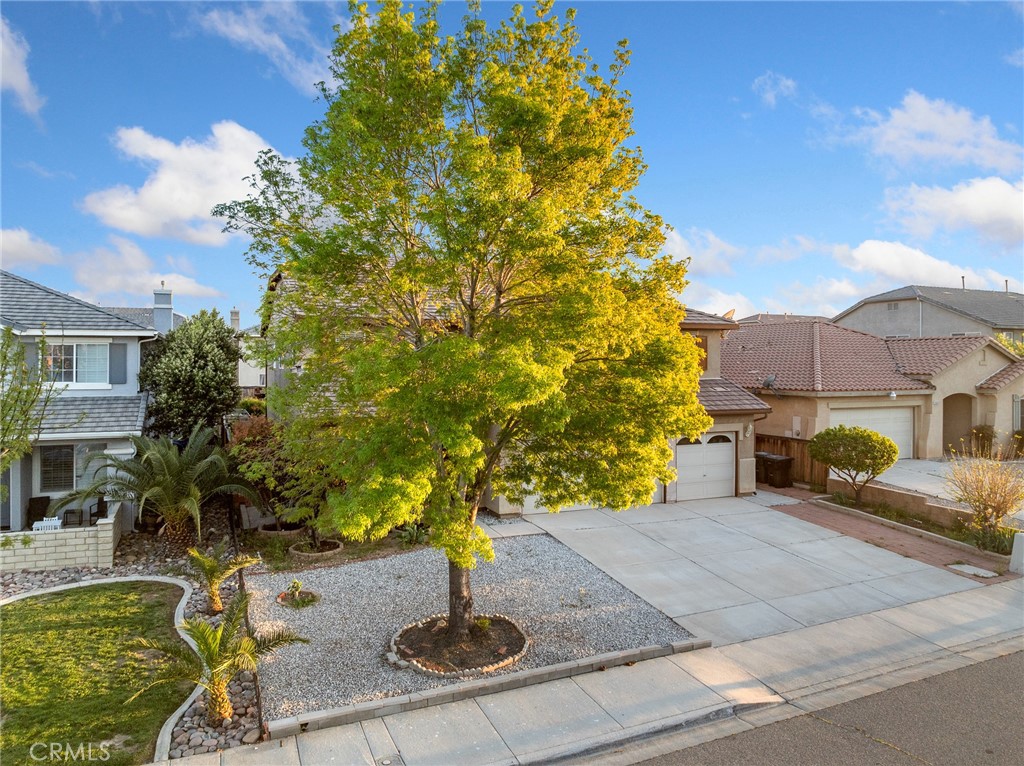 13647 Copper Street