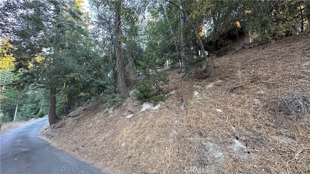 0 Mid Lane
