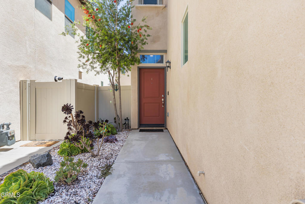 35442 Marabella Court
