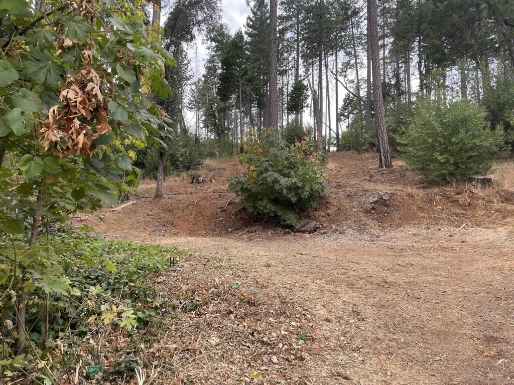 2.64 Acres of beautifully forested land with a year round creek. There are still many 100Ft+ tall pines trees with shade in the evenings. Fickett ln is newly paved. Driveway leads to an exceptionally strong bridge to an idyllic place to build your home and create your life. City water and natural gas. Many deer and occasionally bears are seen here. Short term seller financing available to help you. Can pay it off when you refinance your completed home.