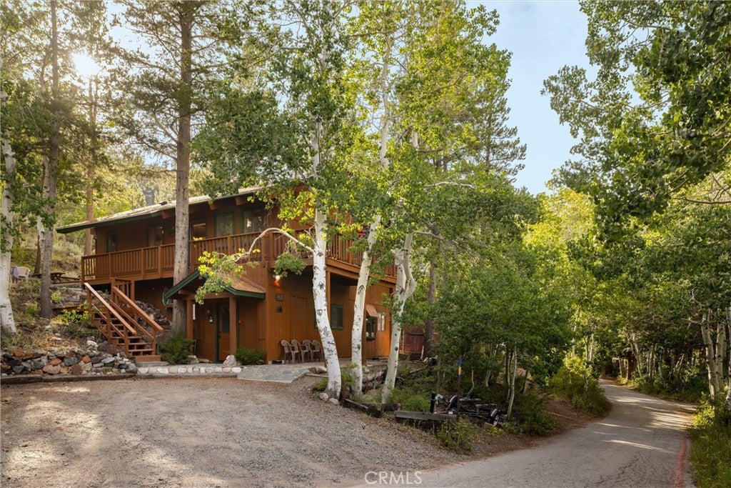 251 Forest Road