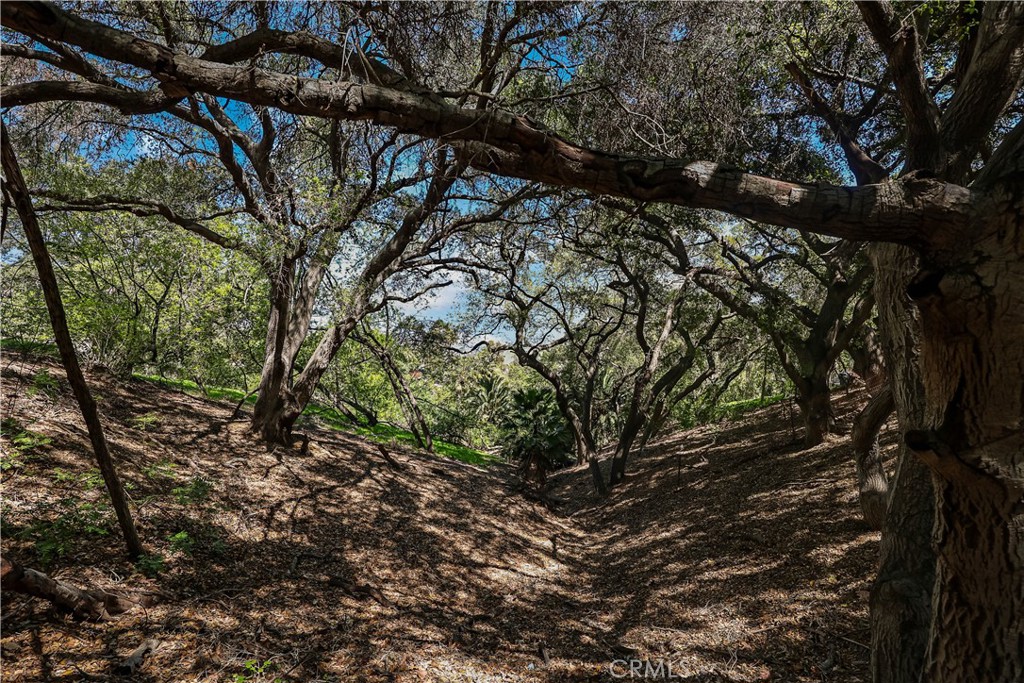 2222 Carbon Canyon Road