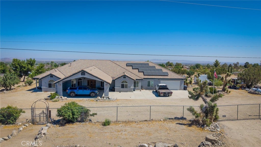 1220 Smoke Tree