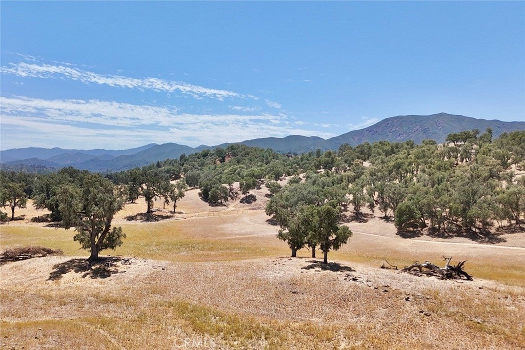 49460 Sapaque Road