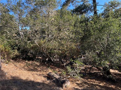 Tiny photo for 17 Bradford Road, Cambria, CA 93428 (MLS # SC25198731)