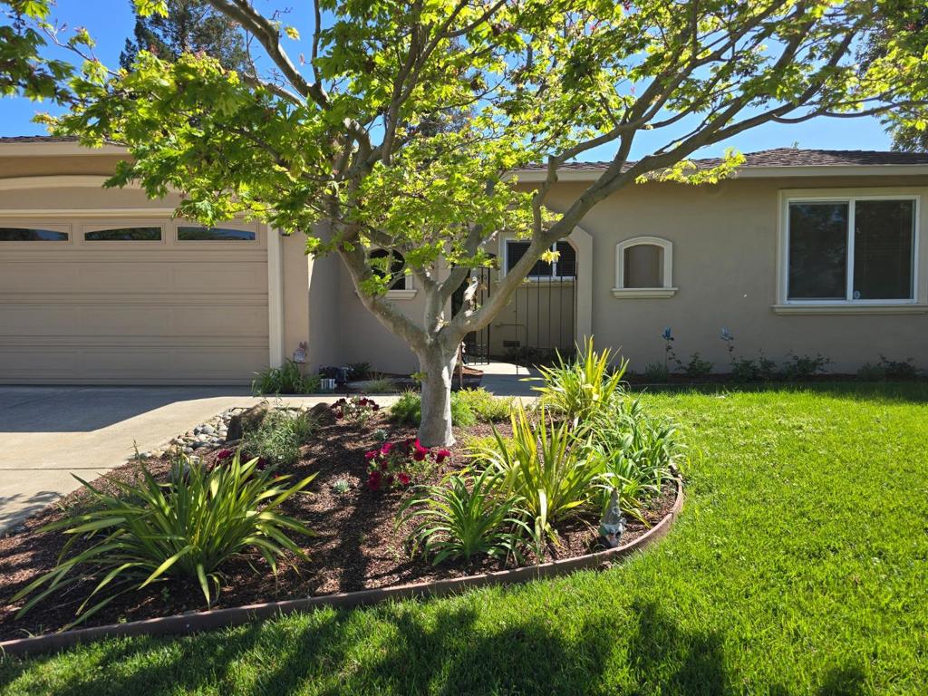 536 Curie Drive