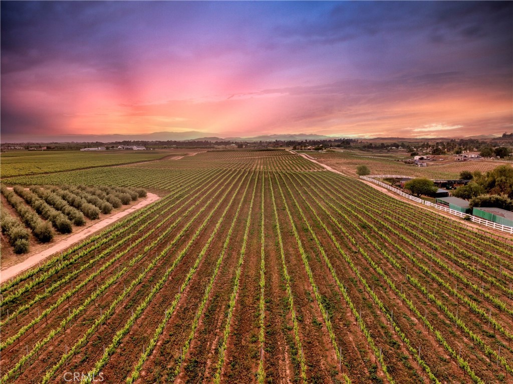 Properties 1 40125 Camino Del Vino