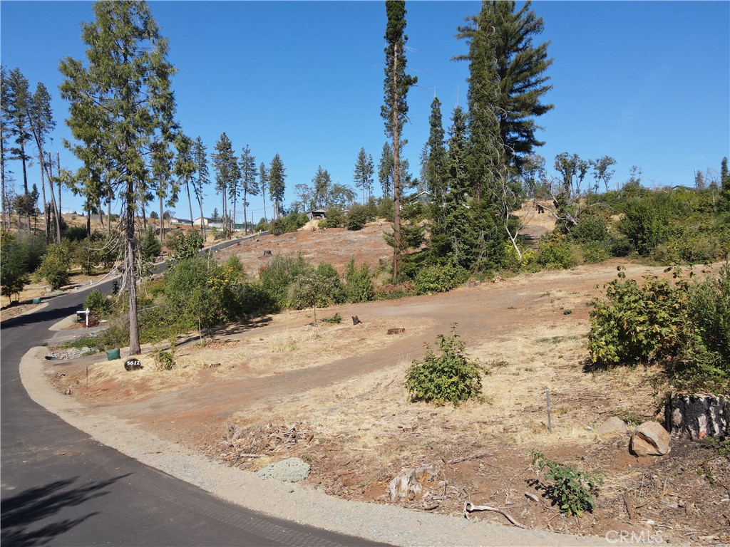Looking for a creekside property with the gentle sound of running water? Conveniently located with close proximity to Clark rd, shopping, banking, and dining. With repaved streets the neighborhood is ready for you to build the home of your dreams. Prior to the campfire the .58 acre lot was home to 1,360 square foot 2 bedroom 2 bath home. Existing leach field, water meter, back flow devise, and current PID account ready for the new owner.