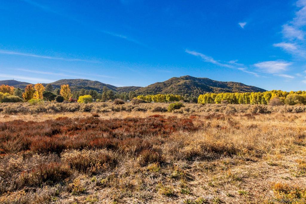 Pine Valley - Residential