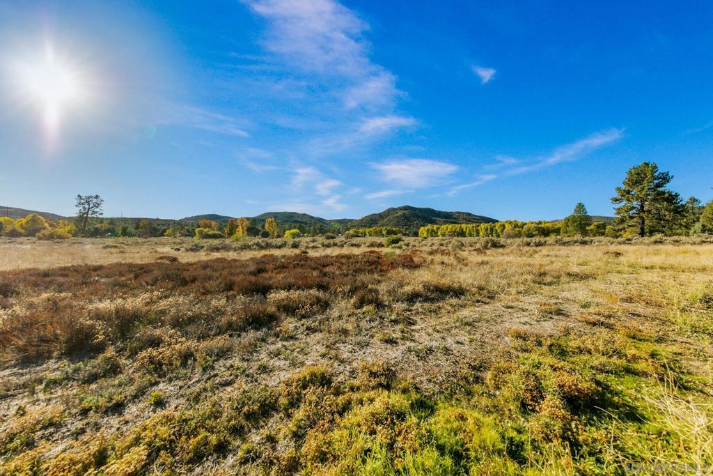 Pine Valley - Residential