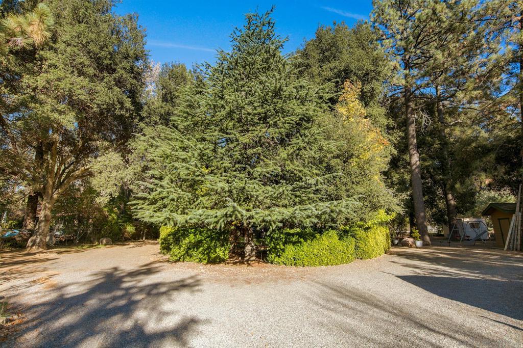 Pine Valley - Residential