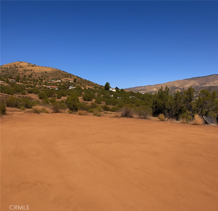 Custom Acton (CACTO) - Land