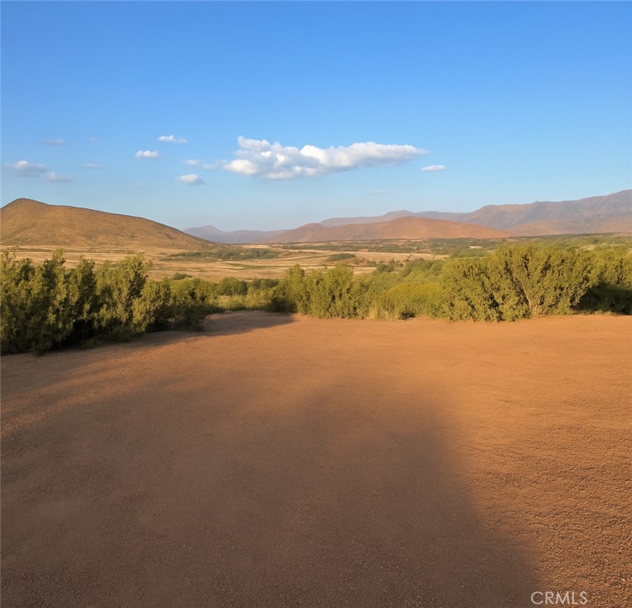 Custom Acton (CACTO) - Land