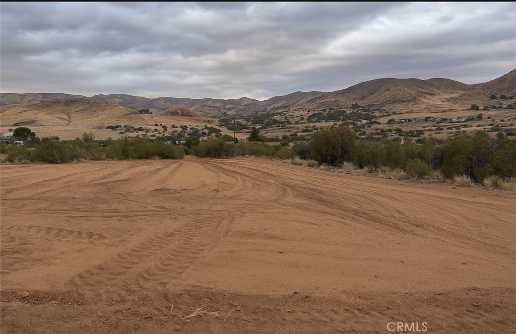 Custom Acton (CACTO) - Land