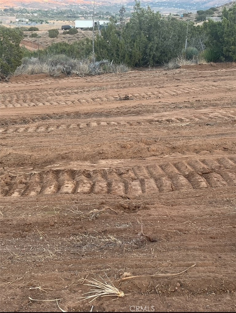 Custom Acton (CACTO) - Land