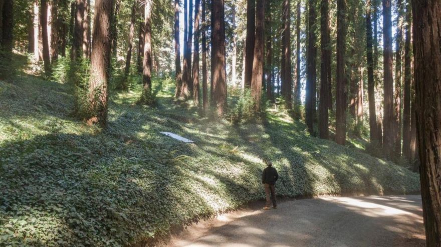 Nestled amidst the estate-like homes of Woodside, this nearly 4-acre parcel offers a serene, secluded retreat.  The location is incredible - less than 10 minutes away from Hwy 280 and the business world along Sand Hill Road and only 10 minutes from the hilltop restaraunt - Alices Restraunt. The property is accessed via a private shared road that brings you into the core of this gently sloped land, surrounded by towering redwoods and a tranquil seasonal creek. With ample potential for your own Retreat, Glamping / Campsite, Mountain Biking / Off Road Trails, RV Getaway, an Artists haven or just creating a peaceful weekend getaway - this land offers endless possibilities. With Silicon Valleys tech hubs, Stanford University, & premier shopping within minutes, this location is ideal. The property also falls within the coveted Portola Valley School District & Woodside High School. This rare opportunity invites a visionary buyer to bring their creativity to life in one of San Mateo Countys most secluded yet reasonably distanced areas. Text Joseph Suarez for video tour of​​‌​​​​‌​​‌‌​​‌​​​‌‌​​​‌​​‌‌​​​‌​‌​​​‌‌​ property.