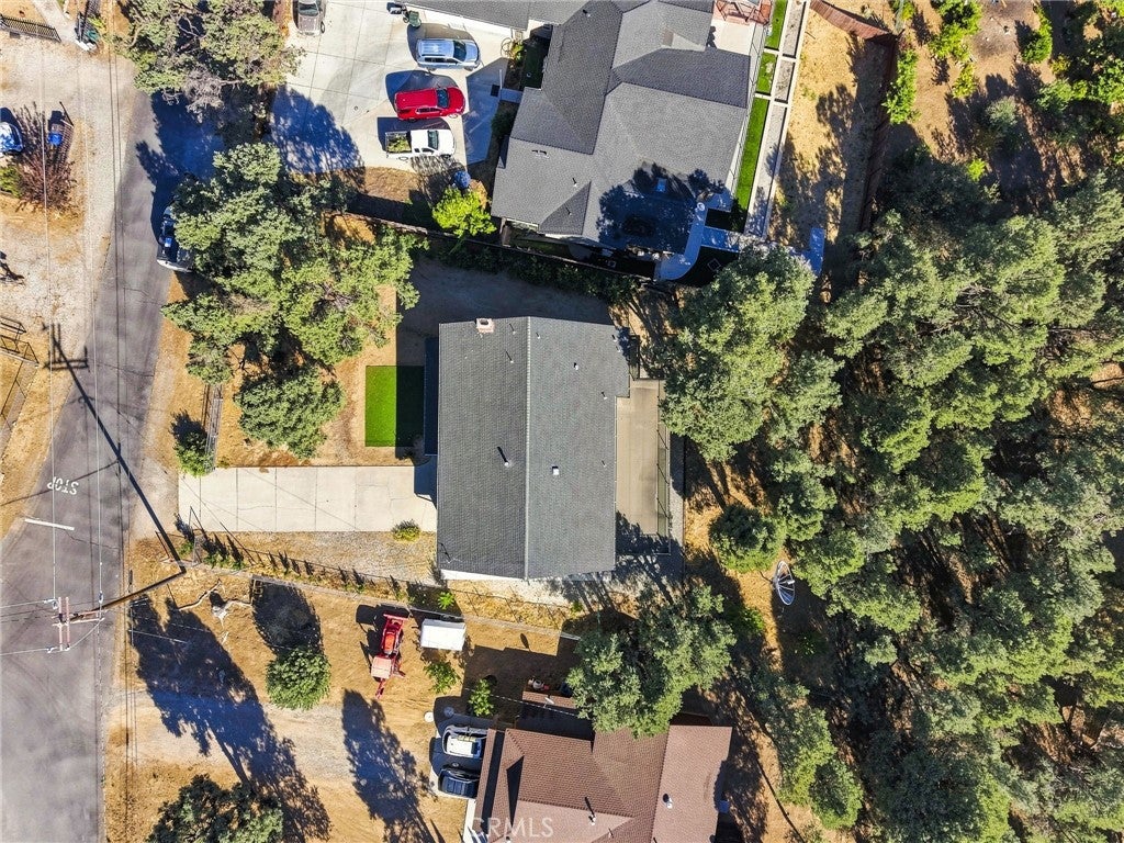 1220 Snowbird Drive