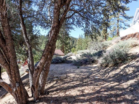 Photo of 0 Cedar Dell Road, Fawnskin, CA 92333 (MLS # 219150558DA)