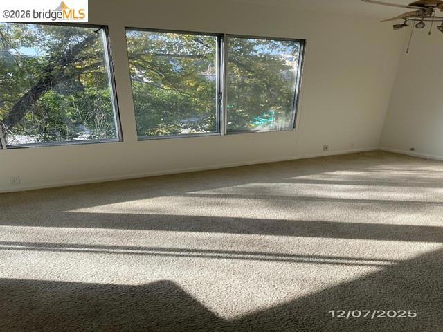 455 Crescent St 312