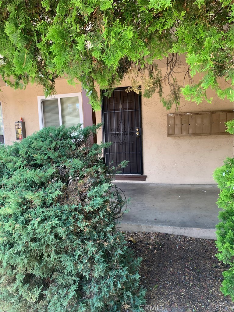 - Residential Lease