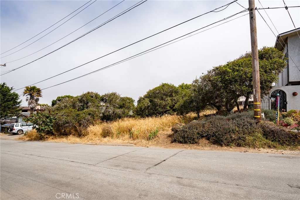 Cuesta by the Sea(590) - Land