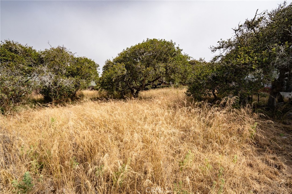 Cuesta by the Sea(590) - Land