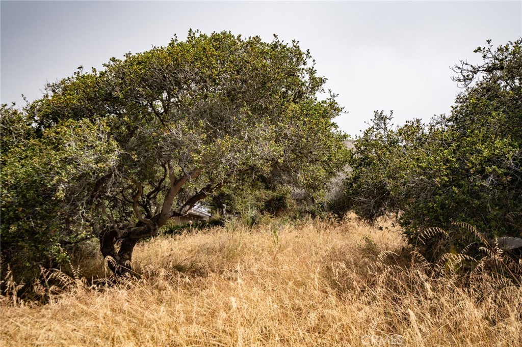 Cuesta by the Sea(590) - Land