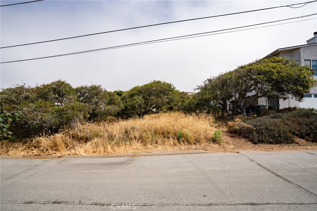 Cuesta by the Sea(590) - Land