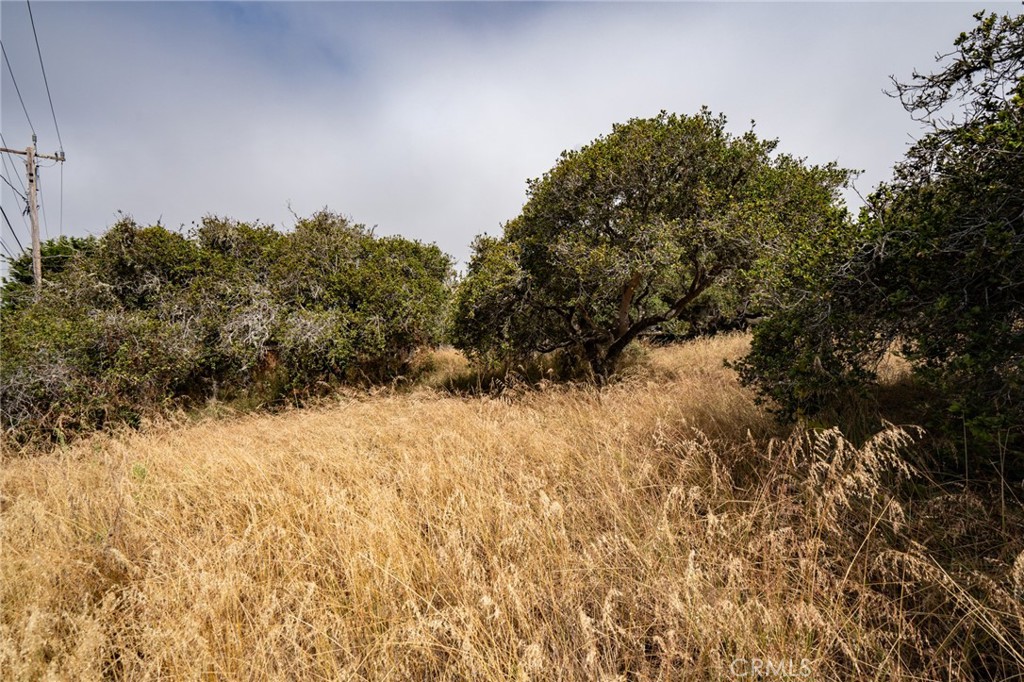 Cuesta by the Sea(590) - Land