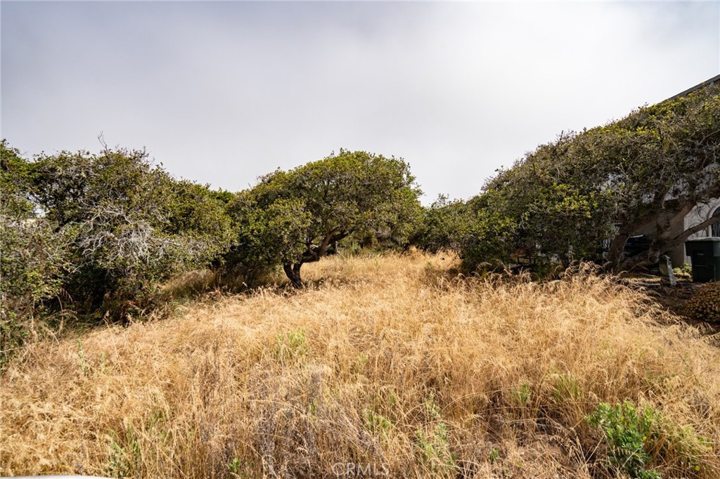 Cuesta by the Sea(590) - Land