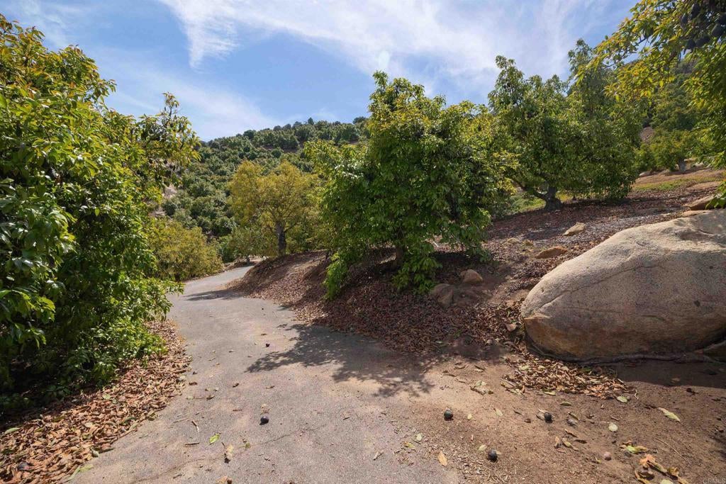 LUIS REY HEIGHTS RD