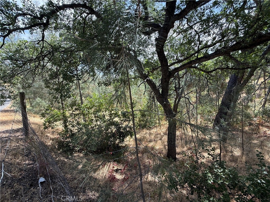 16305 Hillcrest Drive