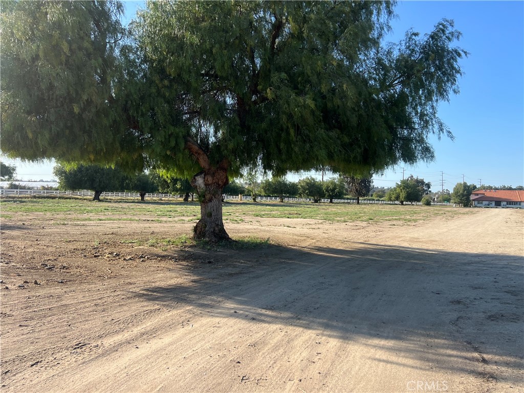 34830 Calle Arnaz