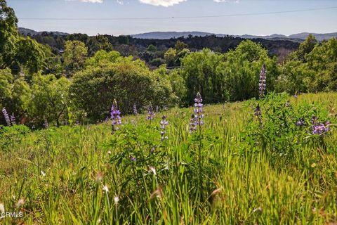 Tiny photo for 1130 Rancho Drive, Ojai, CA 93023 (MLS # V1-34800)