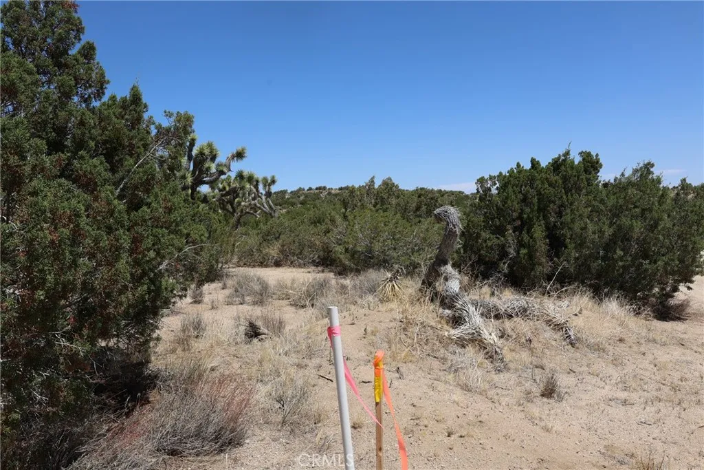 Pearblossom, California 93553, United States, ,Land,Active,168415