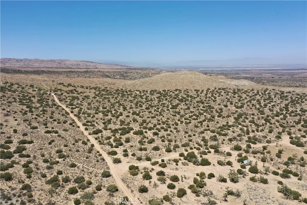 Pearblossom, California 93553, United States, ,Land,Active,168415