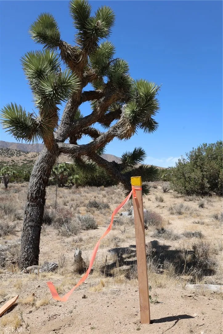 Pearblossom, California 93553, United States, ,Land,Active,168415