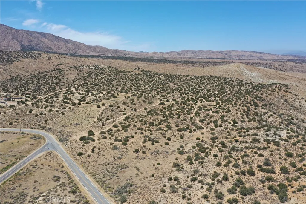 Pearblossom, California 93553, United States, ,Land,Active,168415