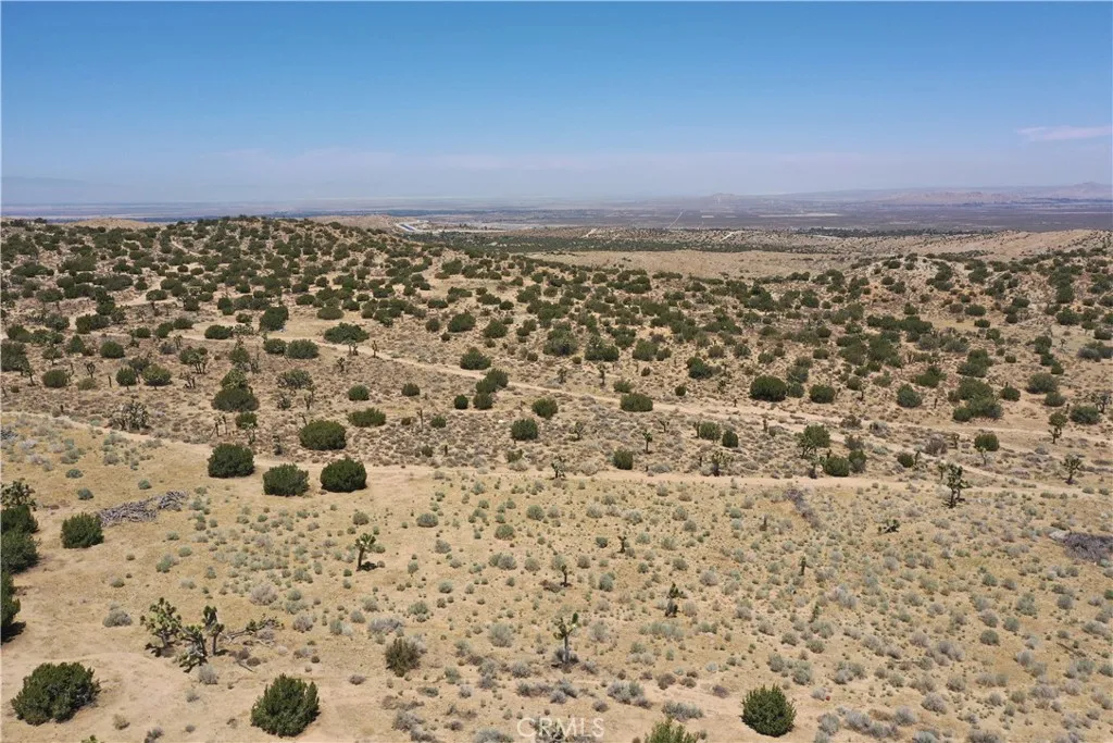 Pearblossom, California 93553, United States, ,Land,Active,168415