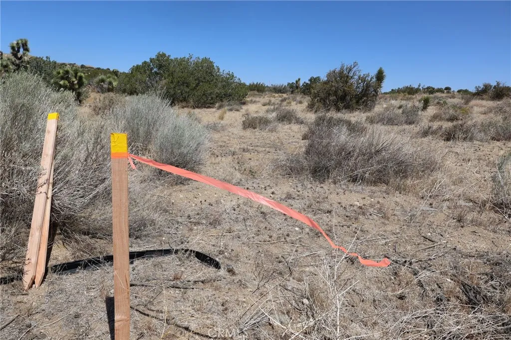 Pearblossom, California 93553, United States, ,Land,Active,168415