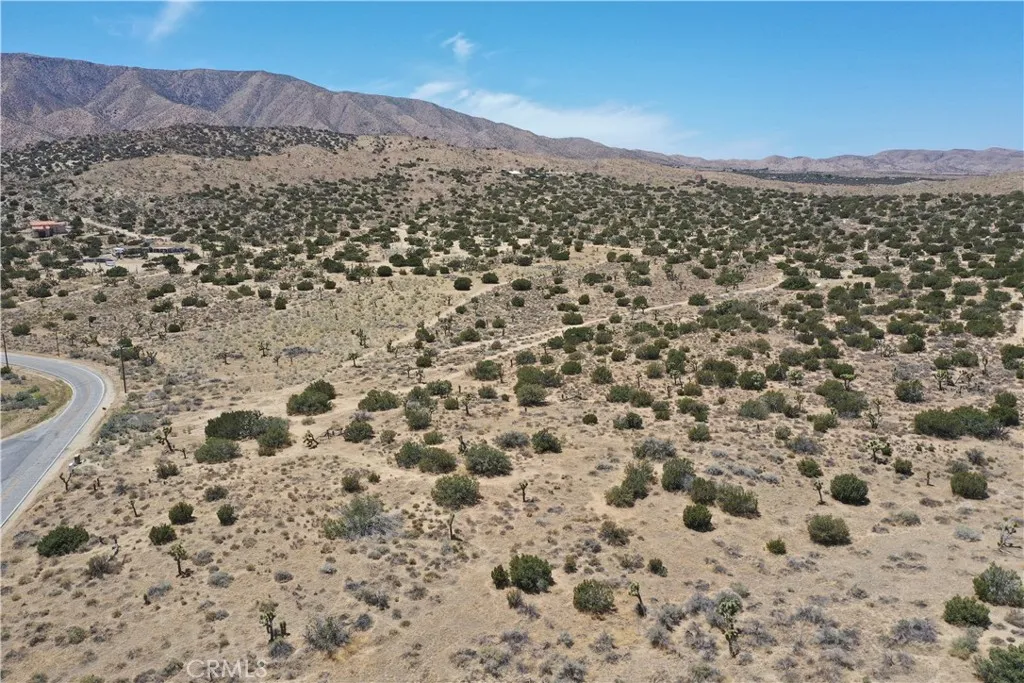 Pearblossom, California 93553, United States, ,Land,Active,168415